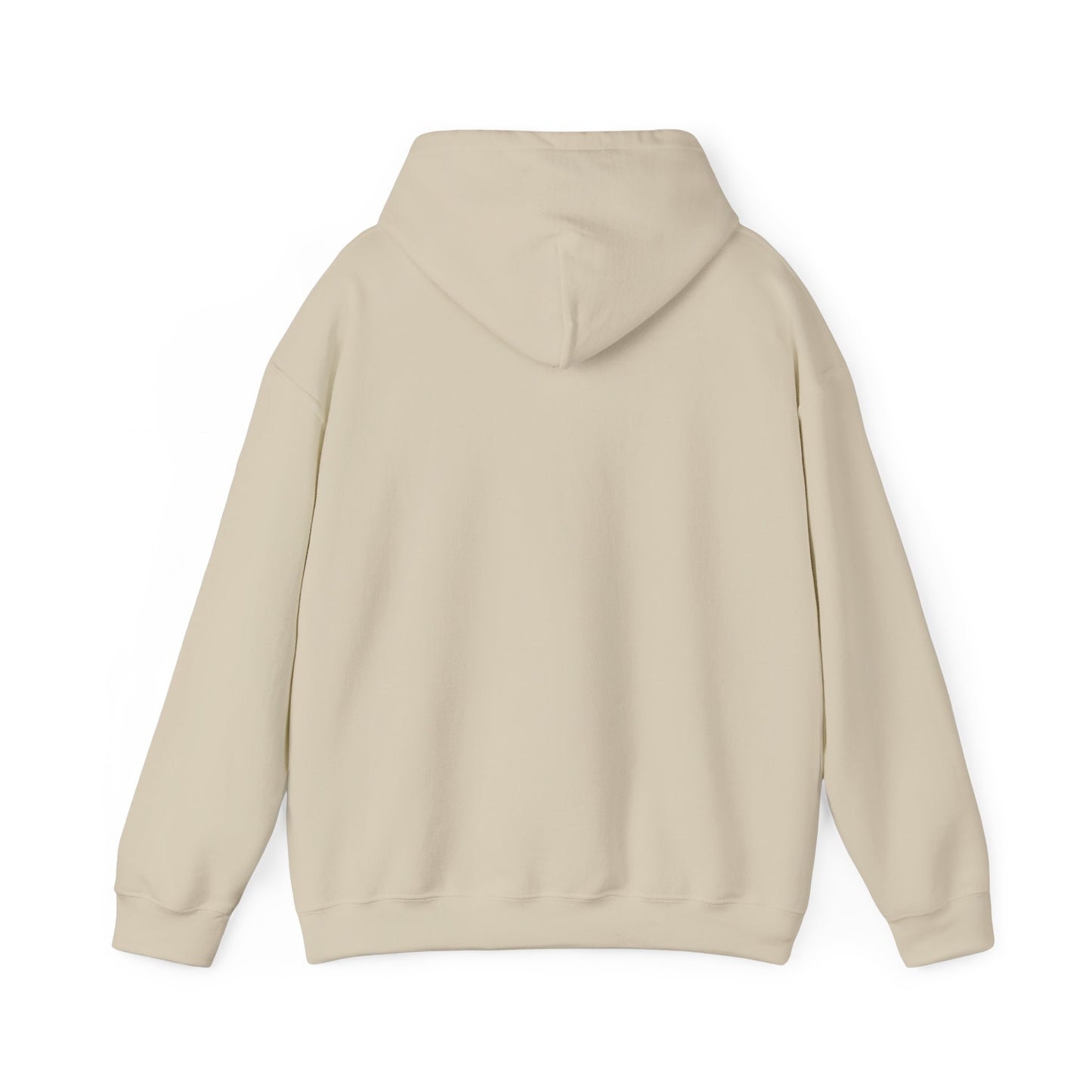 s e c r e t s x 3 Hoodie