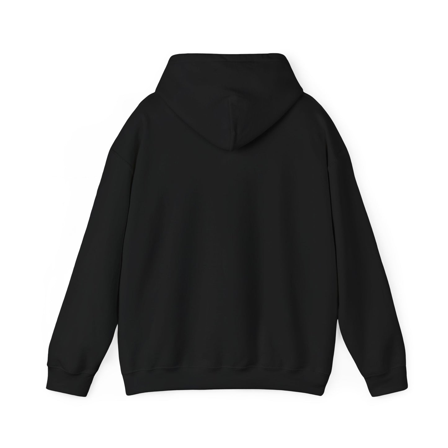 s e c r e t s x 3 Hoodie