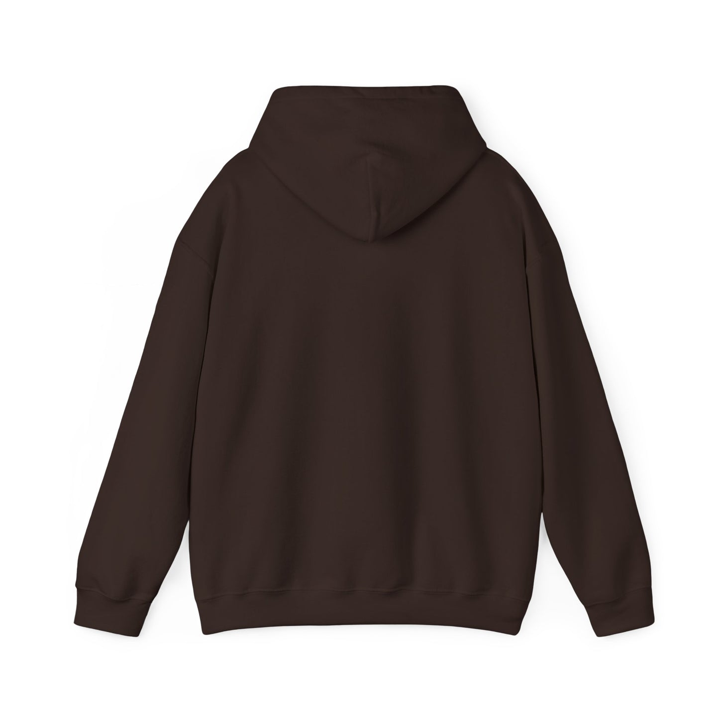 s e c r e t s x 3 Hoodie