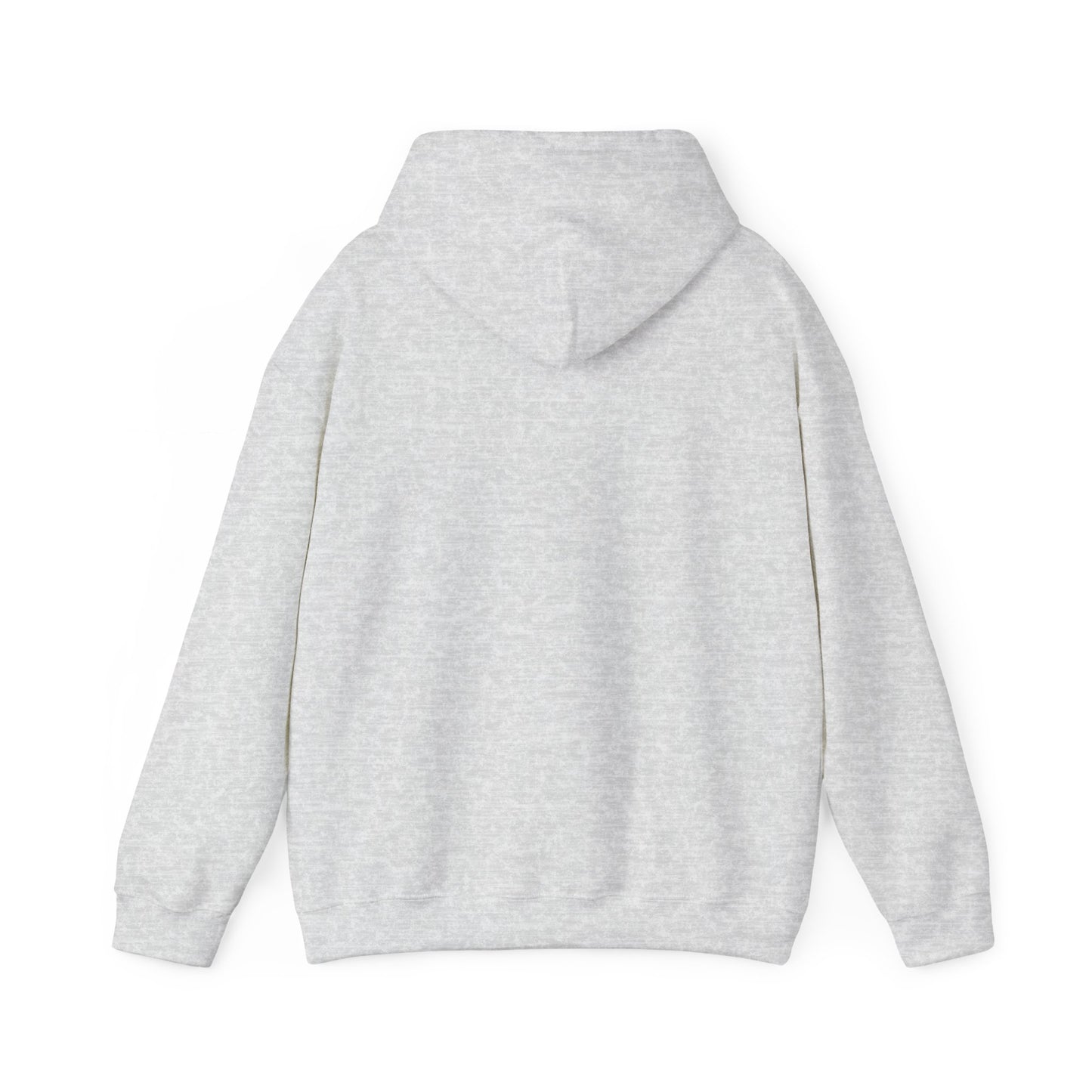 s e c r e t s x 3 Hoodie