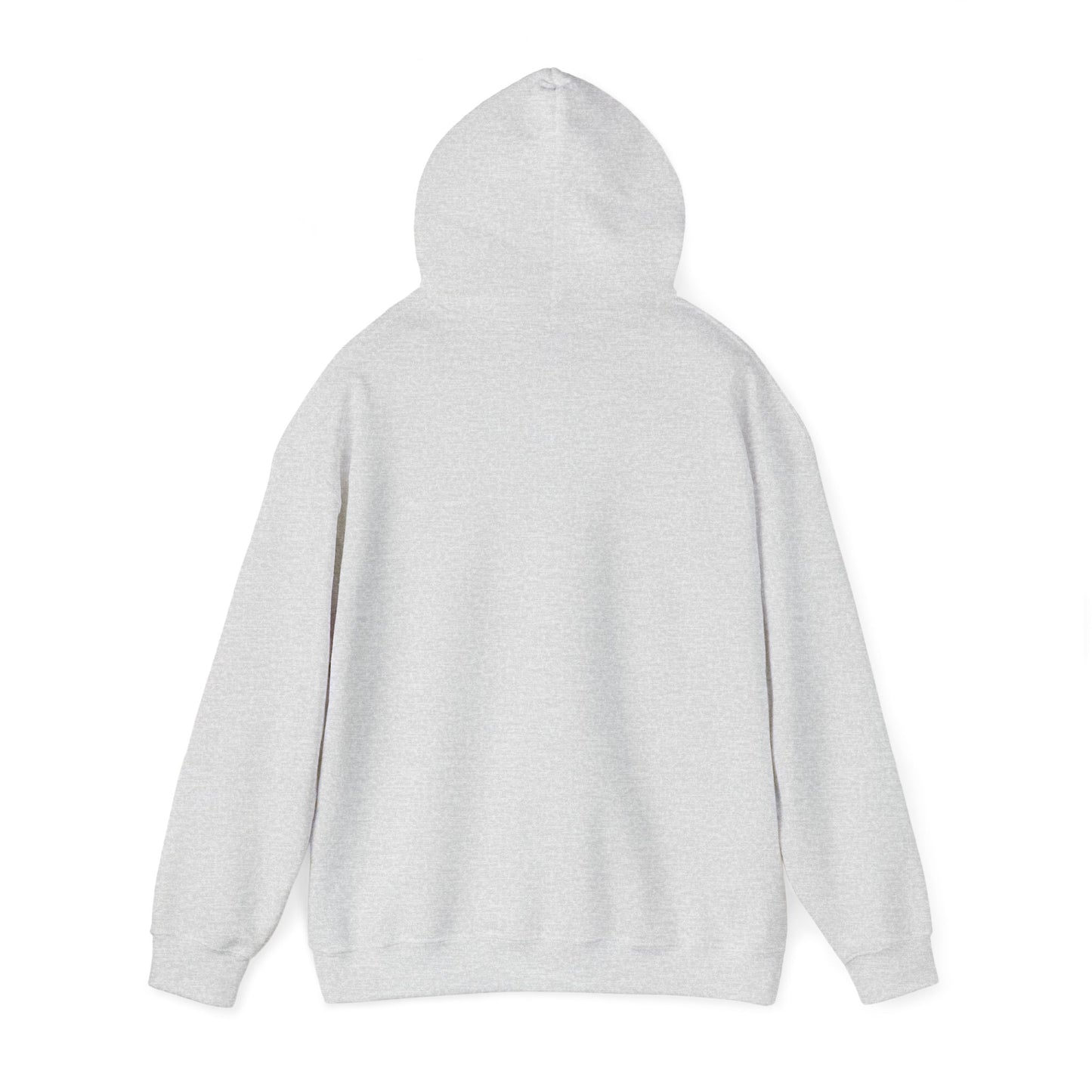 s e c r e t s x 3 Hoodie
