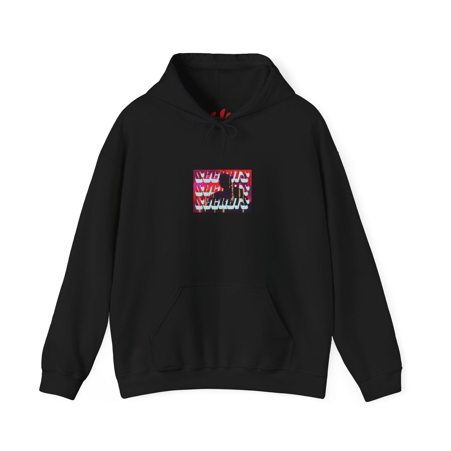 s e c r e t s x 3 Hoodie