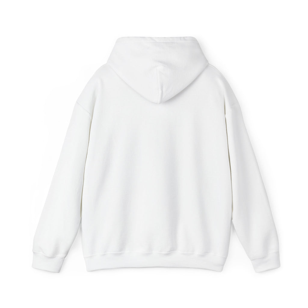 s e c r e t s x 3 Hoodie