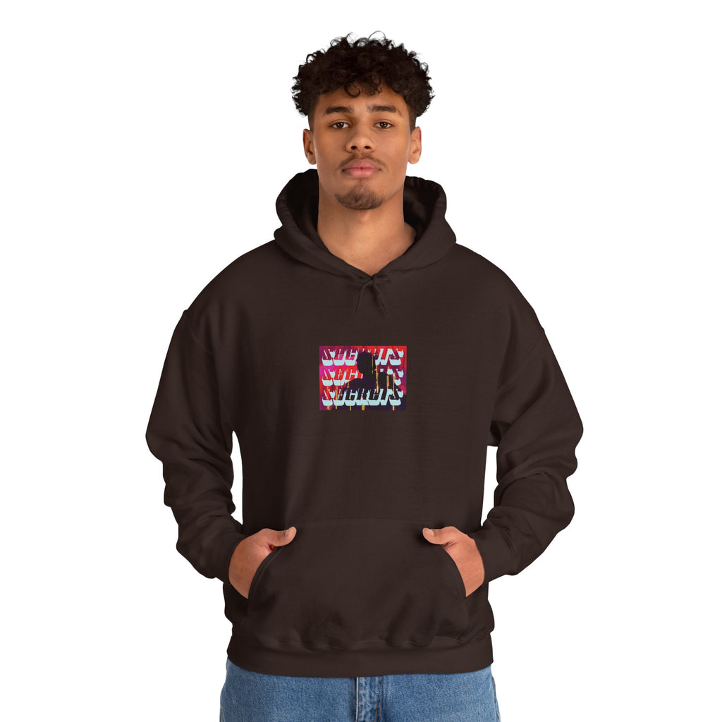 s e c r e t s x 3 Hoodie