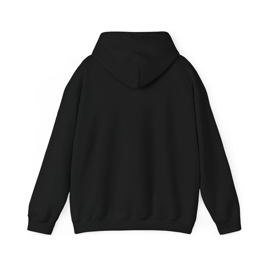 s e c r e t s x 3 Hoodie