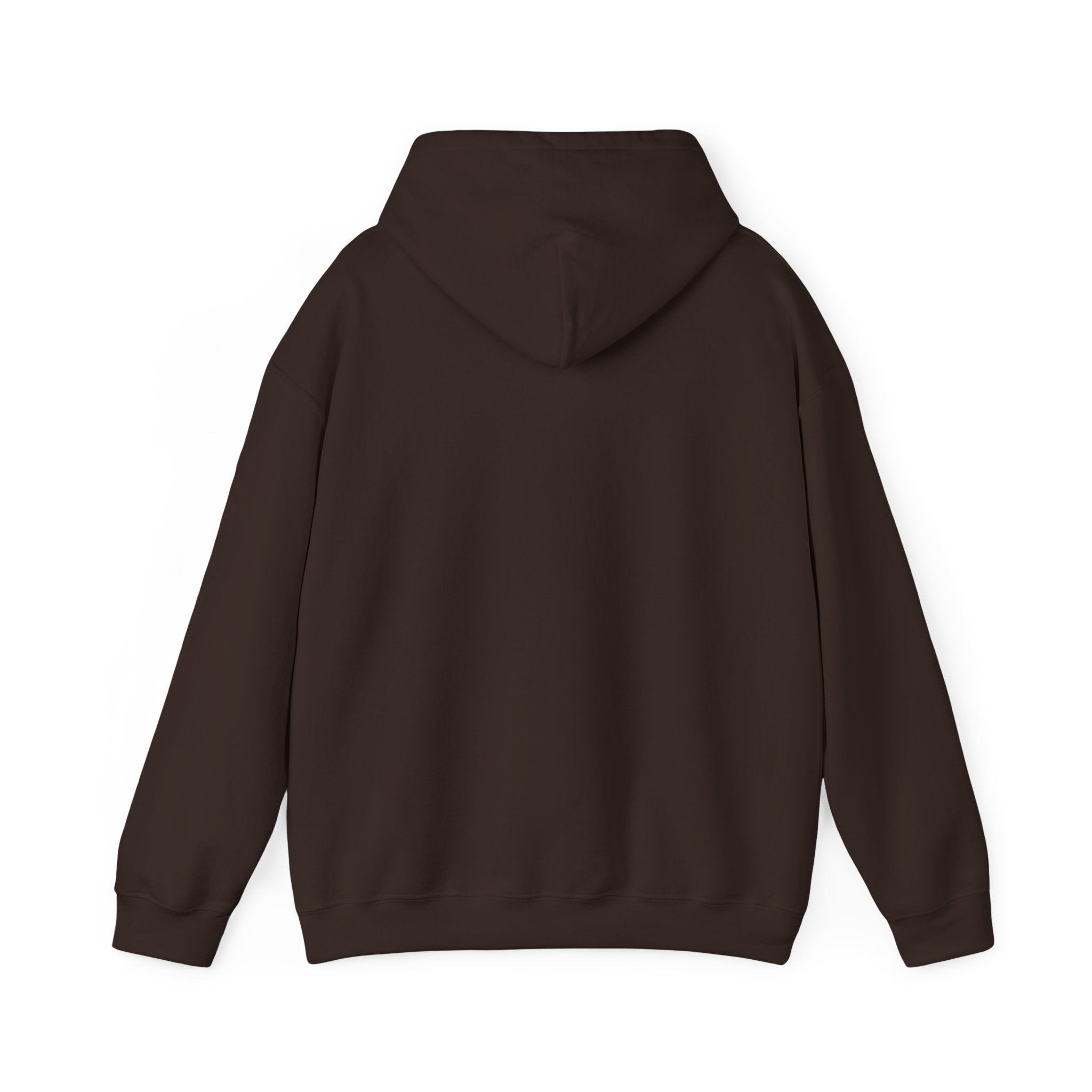 s e c r e t s x 3 Hoodie