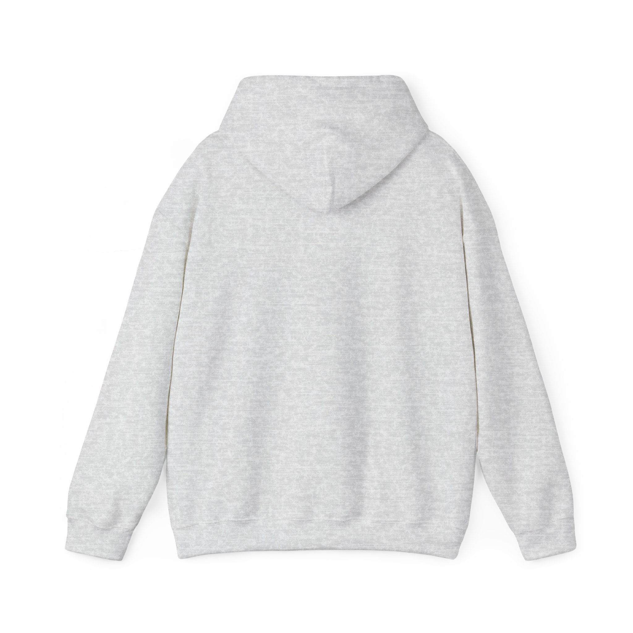 s e c r e t s x 3 Hoodie