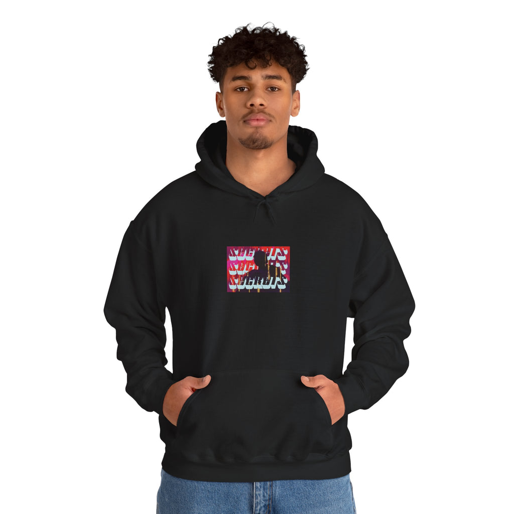 [s e c r e t] Hoodie