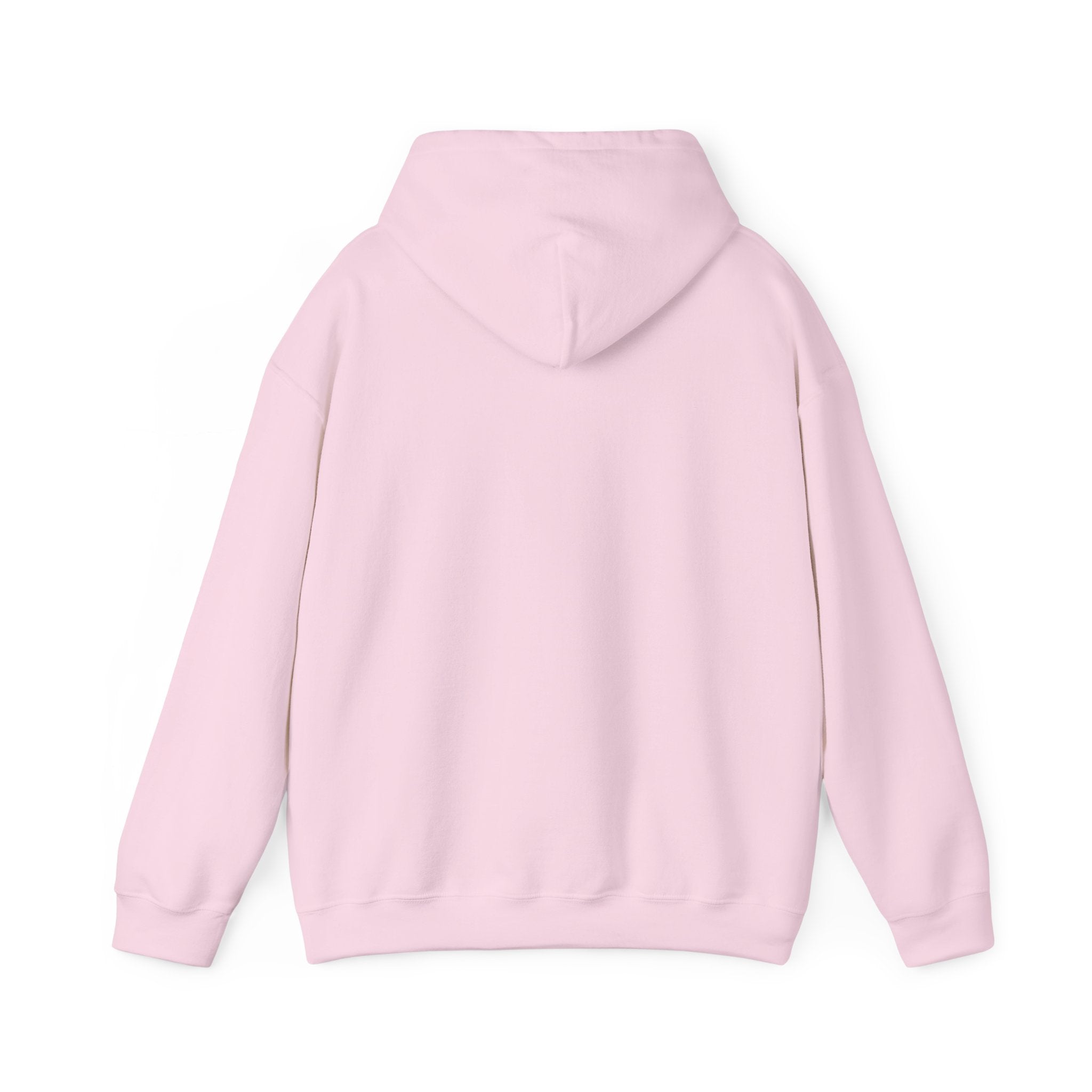 [s e c r e t] Hoodie