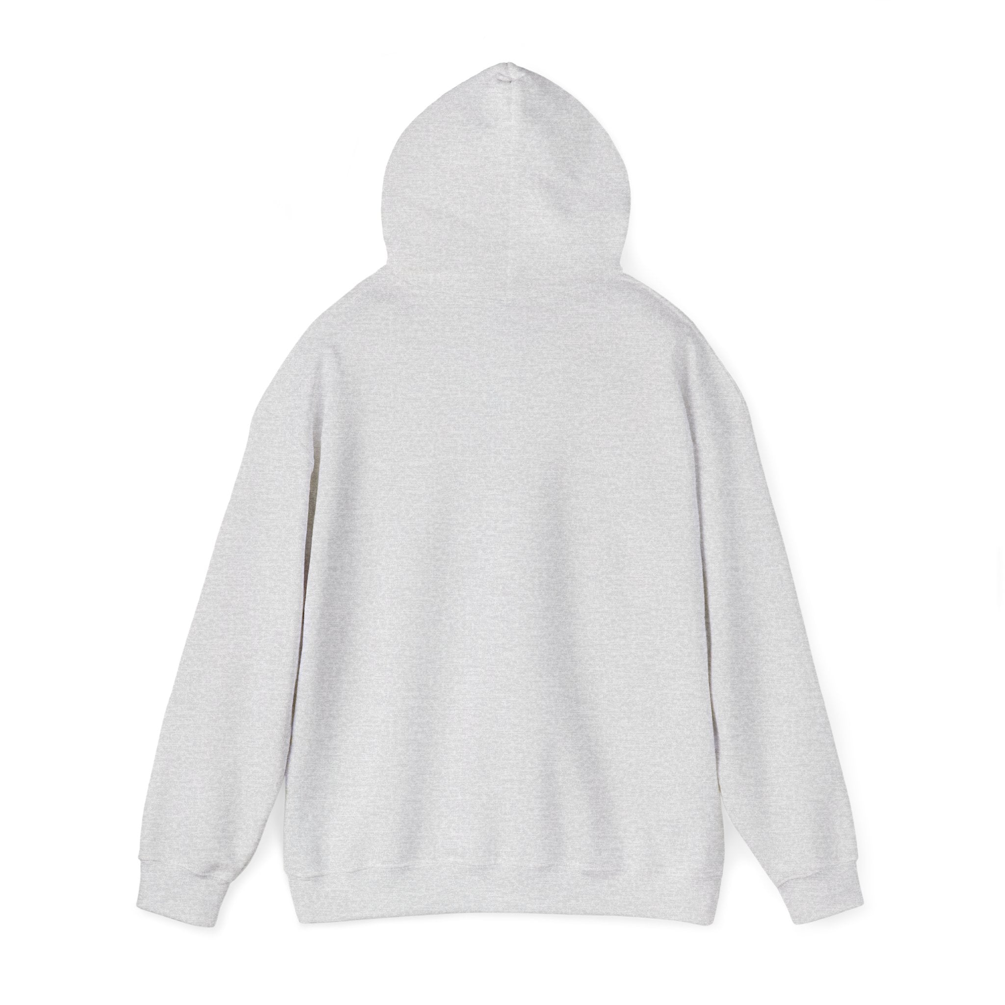 [s e c r e t] Hoodie